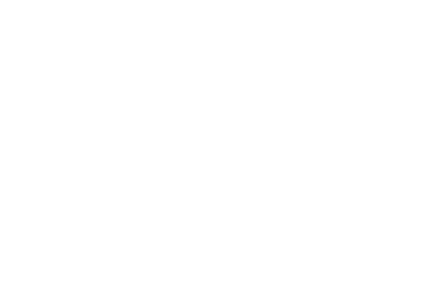 pirastro logo